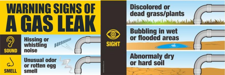 April 24 City Hall (1)